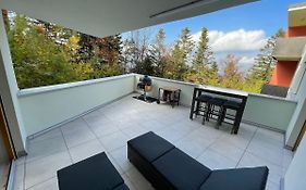 Luxury 3-Room Large Apartment Maribor Pohorje